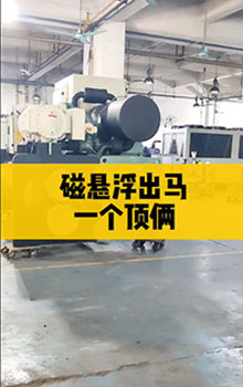 磁懸浮出馬，一個(gè)頂倆！
